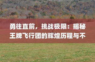 勇往直前，挑战极限：揭秘王牌飞行团的辉煌历程与不为人知的背后故事