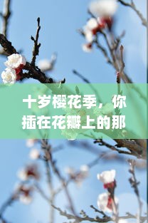 十岁樱花季，你插在花瓣上的那首深情歌曲是什么：一段青春记忆的音符流转 v8.1.1下载