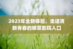 2023年全新体验，走进清新青春的嫩草影院入口