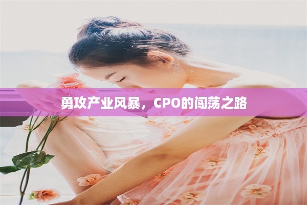 勇攻产业风暴，CPO的闯荡之路