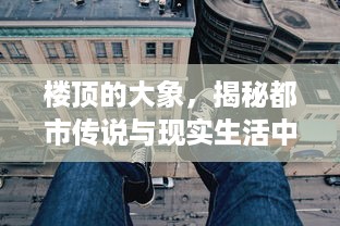 楼顶的大象，揭秘都市传说与现实生活中的不可思议现象