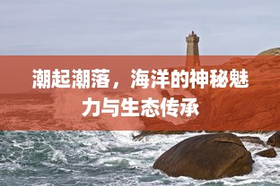 潮起潮落，海洋的神秘魅力与生态传承