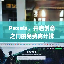 Pexels，开启创意之门的免费高分辨率照片库