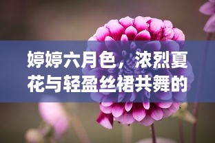 婷婷六月色，浓烈夏花与轻盈丝裙共舞的浪漫季节