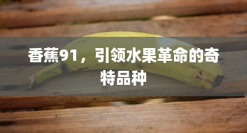 香蕉91，引领水果革命的奇特品种