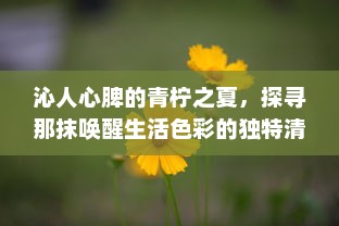 沁人心脾的青柠之夏，探寻那抹唤醒生活色彩的独特清新魅力