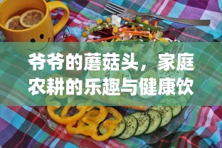 爷爷的蘑菇头，家庭农耕的乐趣与健康饮食的选择