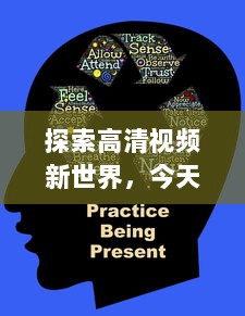 探索高清视频新世界，今天最受欢迎的在线观看站点推荐与使用心得分享